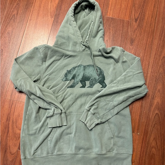 The North Face Other - The North Face Green Hoodie with Bear Graphic